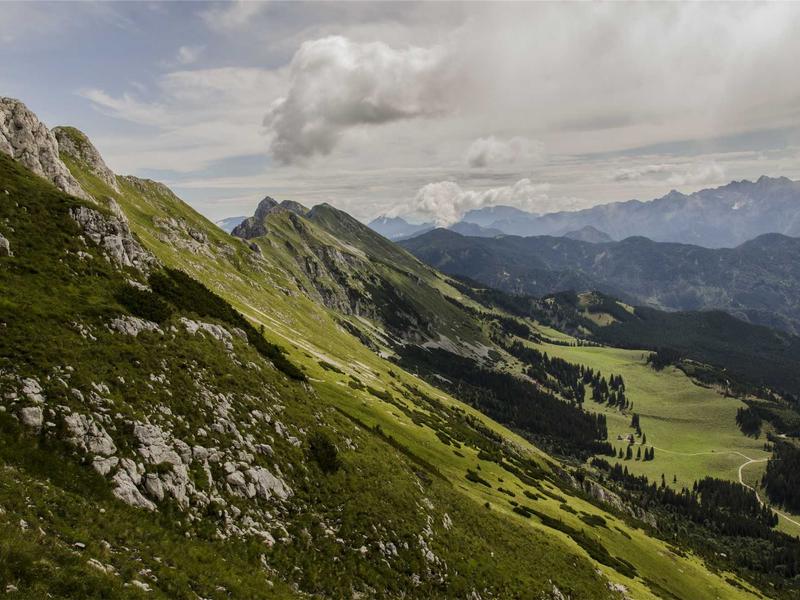 熵增定律<br>lyd4nhjn.cn 走向无序终点